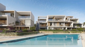 264898.jpg