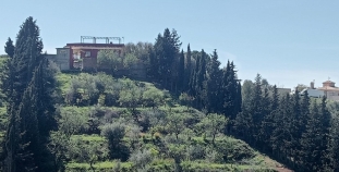 270975.jpg