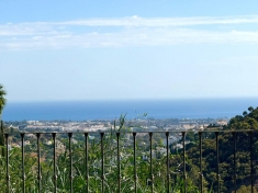 276430.jpg