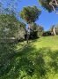BOMAAP9432_134687_V1_9970.jpg