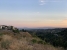 1-7980e48d732b6fc85c14b43b94d2aa54.jpg