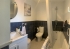 12-53013098fcab6c38b1379cd33298e050.jpg