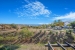 20-d1f7658cbe4ba6cd8666fec30fba80ad.jpg