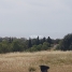 29-7c2f312881aea9bbe9ddaeb9640e2c9a.jpg