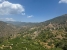 42-3aa90f523689fc5a59d5d37badfe1b6f.jpg