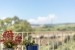 21-2c707e7c511429b4f8ec4ee5f221ddb6.jpg