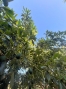 54-cba5c6f0c186831e5b449ecd59074d41.jpg
