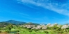 37-1d70d218e897435ff17cdff8e99bb5bf.jpg