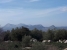 1-7980e48d732b6fc85c14b43b94d2aa54.jpg