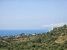 29-7c2f312881aea9bbe9ddaeb9640e2c9a.jpg