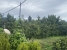 13-5fd73dea700db77384c091ca9818b1a9.jpg