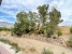 20-d1f7658cbe4ba6cd8666fec30fba80ad.jpg
