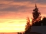 31-5e8b9eb86a2d455eeaf43a7bbf3ccd12.jpg