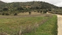 3-e898b2bb2a2fdfd06d2c39894dce8316.jpg